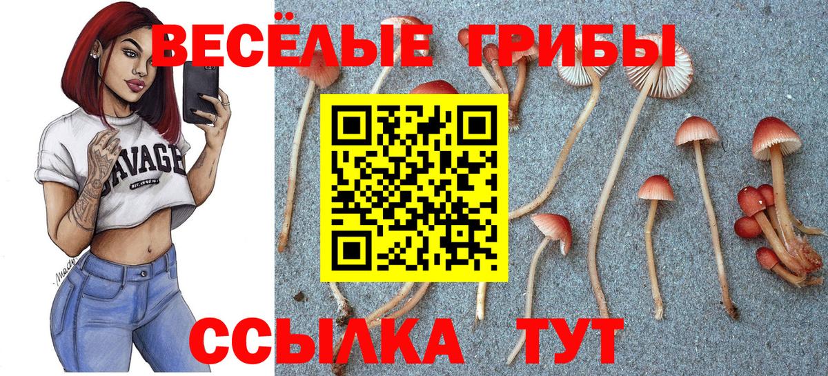 Конаково  Псилоцибиновые грибы мицелий  Вход с VPN 